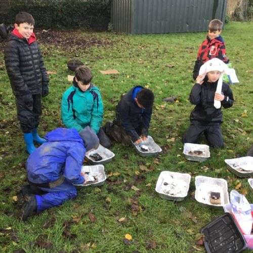 Shepherds Class Forest School